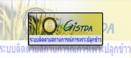 First slide