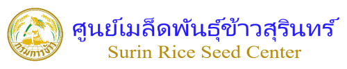rice department