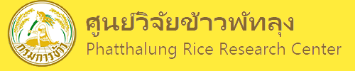 rice department