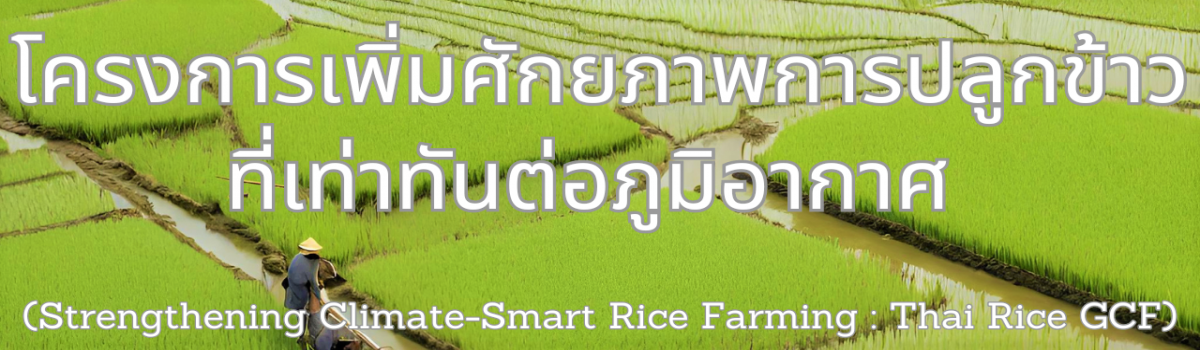 โครงการเพิ่มศักยภาพการปลูกข้าวที่เท่าทันต่อภูมิอากาศ (Strengthening Climate-Smart Rice Farming: Thai Rice GCF)